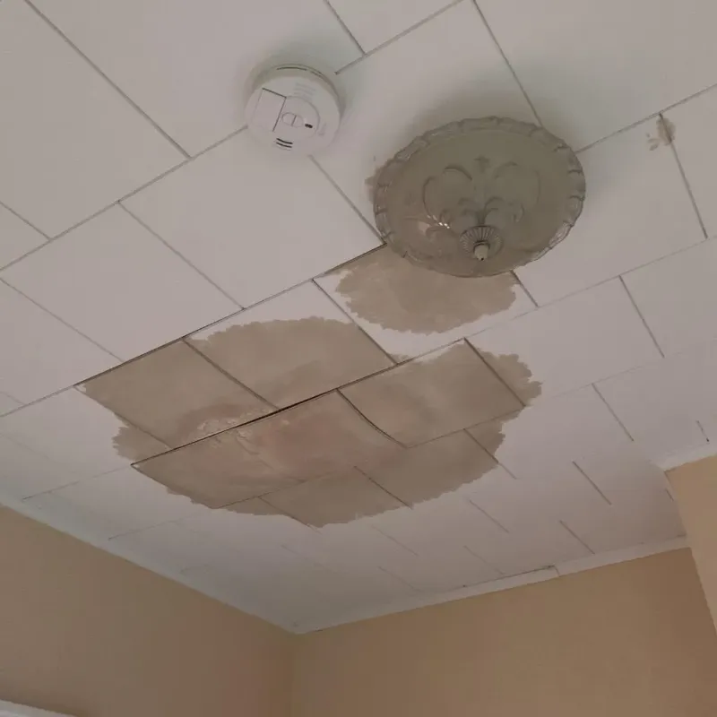 Ceiling Water Damage Repair in Baldwin, PA