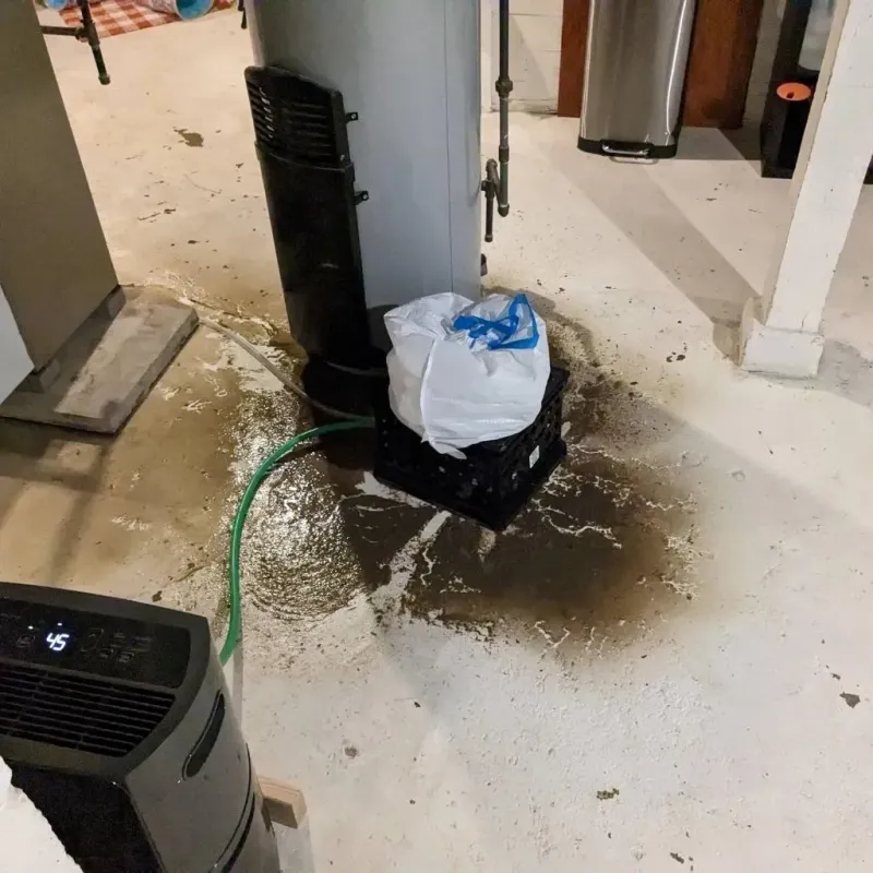 Sewage Backup Cleanup Service in Baldwin, PA